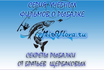 Братья Щербаковы Выпуск 30. Ловля щуки на воблеры и джиг приманки 1. Рыбалка Щербаковы онлайн