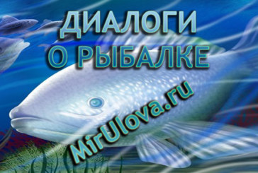 Диалоги о рыбалке №93. Ахтуба. Ловля плотвы зимой. Зимняя рыбалка