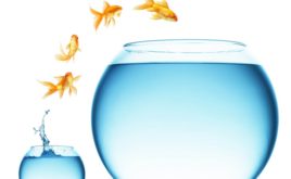 Рыбалка Рыбалка